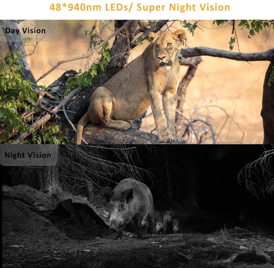 Trail camera day and night vision comparison featuring a lion in daylight and a wild boar in infrared night vision with 940nm LEDs