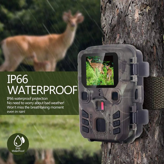 GPS waterproof trail camera mounted on a tree with a deer visible in the background and on its display
