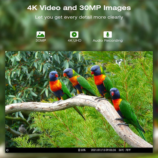 GPS trail camera graphic showing four colorful parrots on a branch with 30MP images, 4K UHD video, and audio recording features.
