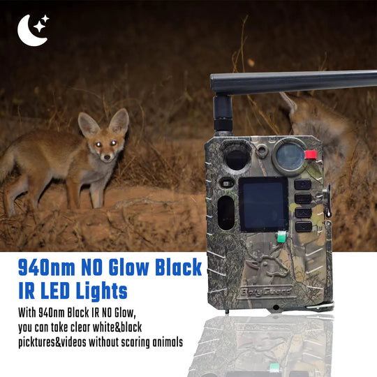 BolyGuard BG410-MS trail camera with solar panel filming a fox at night using 940nm no-glow infrared LEDs